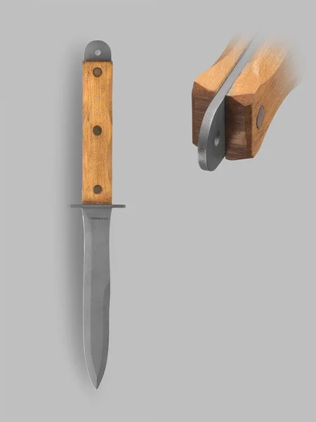Cuchillo de combate con vaina — Foto de Stock