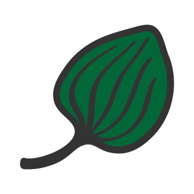 Muz vektör çizim yeşil bitki bırakın