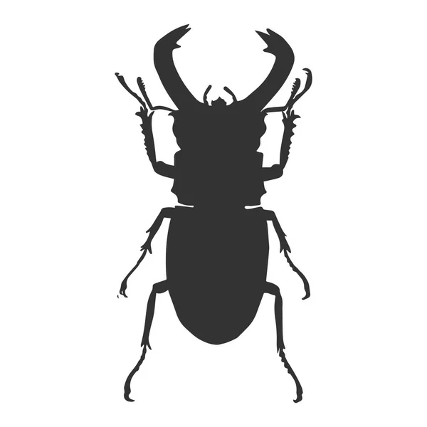 Schwarze Käfer Silhouette Vektor Illustration — Stockvektor