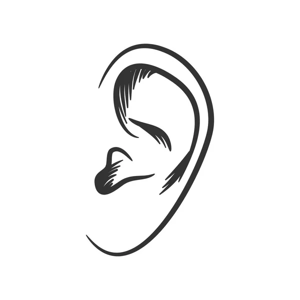 Vecteur d'oreille dessiné à la main vecteur noir sur symbole blanc — Image vectorielle