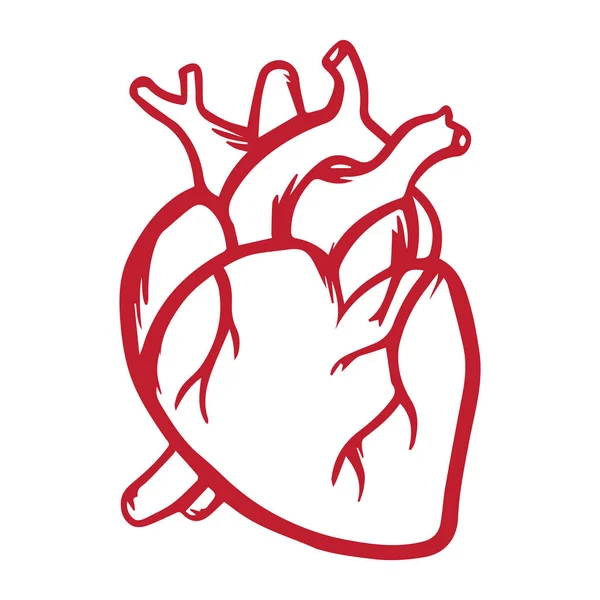 Kalp vektör simge elle çizilmiş kırmızı beyaz. — Stok Vektör