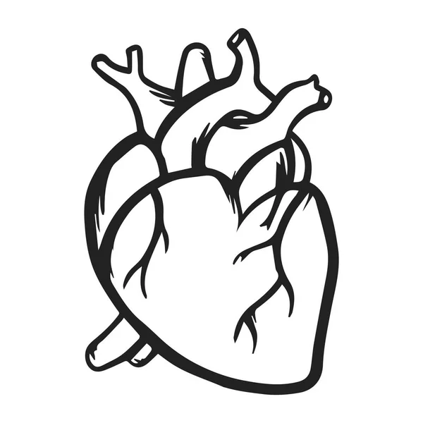 Corazón icono vector mano dibujado negro sobre blanco . Vector De Stock