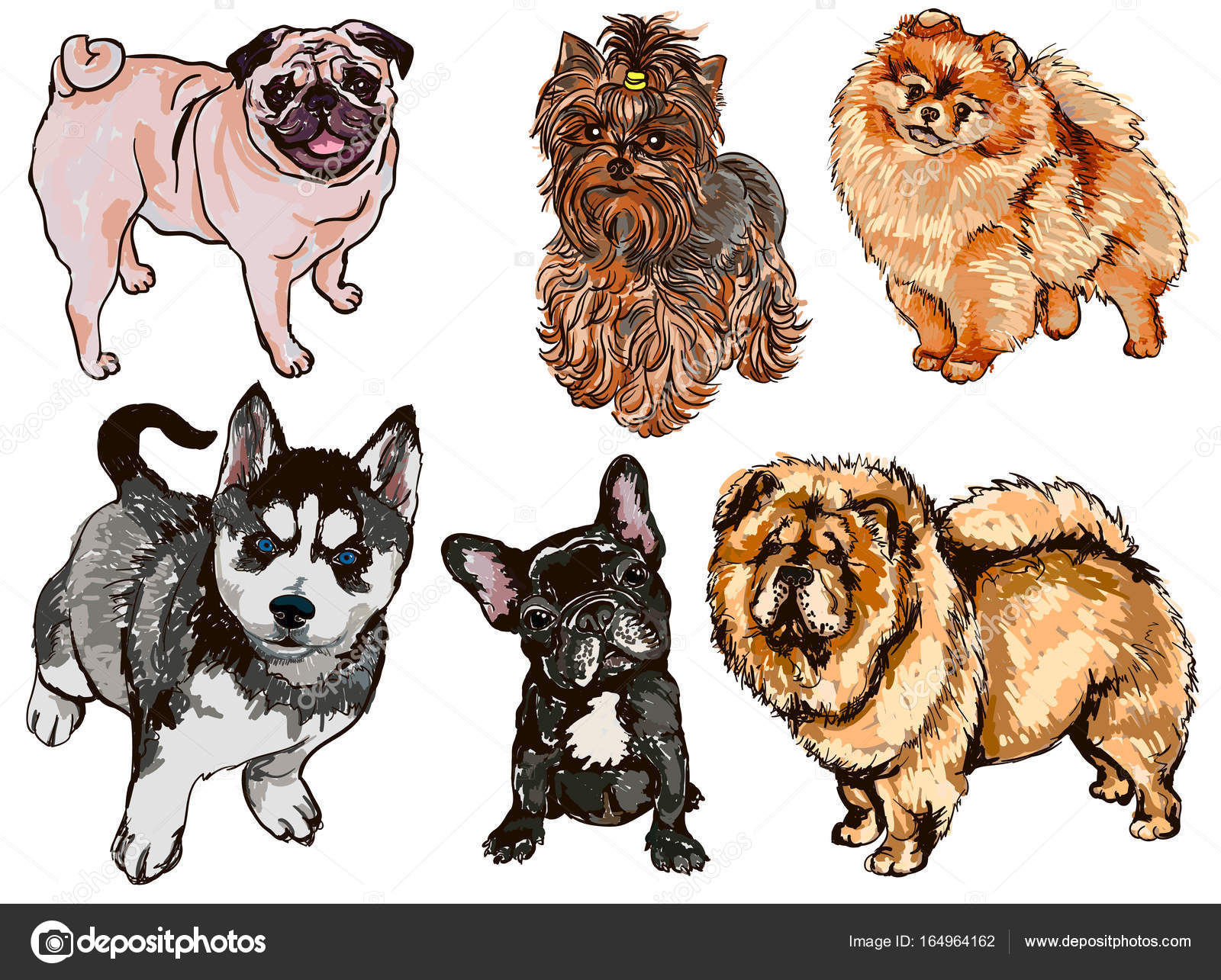 Kopek Resmi Vektorler Ve Grafikleri Depositphotos