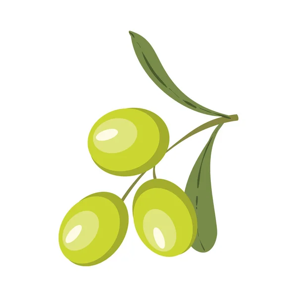 Красочная иллюстрация оливковой ветви — стоковый вектор