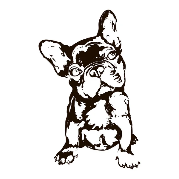 Illustration der Hunderasse Französische Bulldogge — Stockvektor