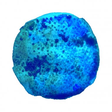 Mavi suluboya lekesi