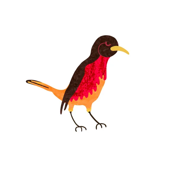 Colorful illustration of cute red bird on a branch — Stok Vektör