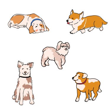 Farklı cins köpekler kümesi