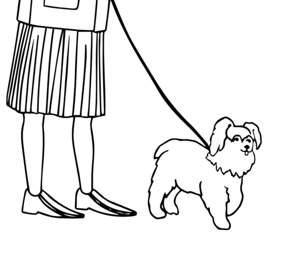 Small dog walk on a leash — ストックベクタ