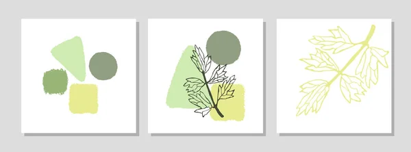 Набор с коллажем современный плакат с абстрактными формами и иллюстрацией растения — стоковый вектор