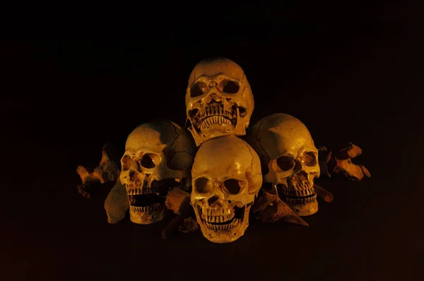 Pile of skulls put on dark floor and black background dim light — ストック写真