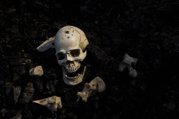 Skull and bones digged from pit in the scary graveyard which has — ストック写真