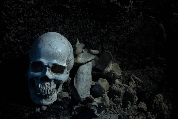 Skull and bones digged from pit in the scary graveyard which has — ストック写真