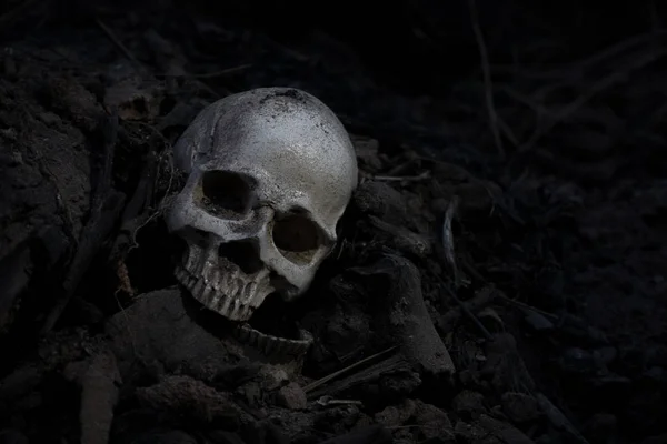 Skull and bones digged from pit in the scary graveyard  / Still — Stock Photo, Image