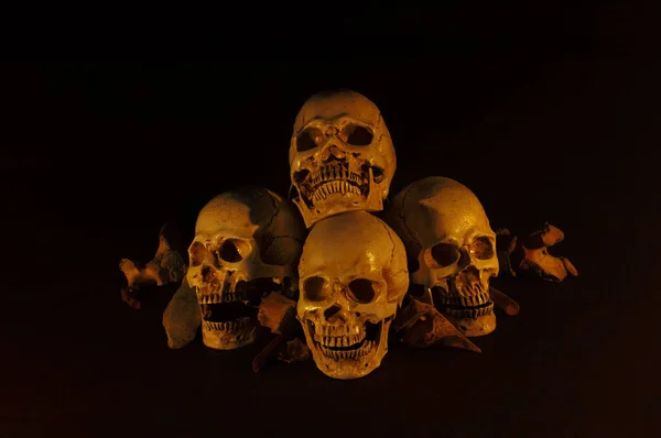 Pile of skulls put on dark floor and black background dim light — ストック写真