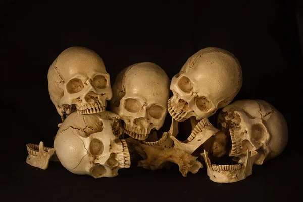 Pile of skull, on black background, Still Life style — ストック写真