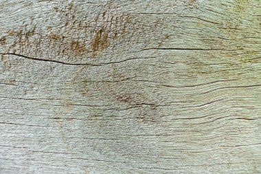 Tahta termitlerle çürür, eski grunge koyu renkli ahşap ba