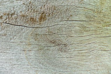 Tahta termitlerle çürür, eski grunge koyu renkli ahşap ba