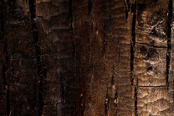 Vecchio albero di legno texture sfondo modello — Foto Stock