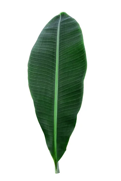 banana png with clipping path and full depth of field. 9588730 PNG
