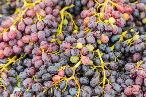 USA, Washington State, Vancouver. Fresh picked red grapes for sale at a farmers market.