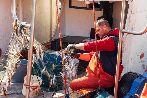 Італія Сицилія Провінція Трапані Трапані Квітня 2019 Рибалка Витягнув Рибу — стокове фото