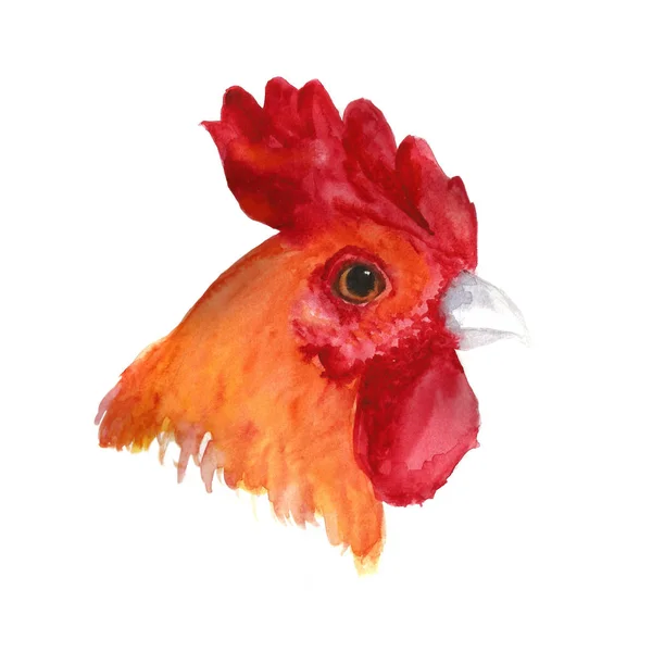 Watercolor fire red rooster head — Stock Photo, Image