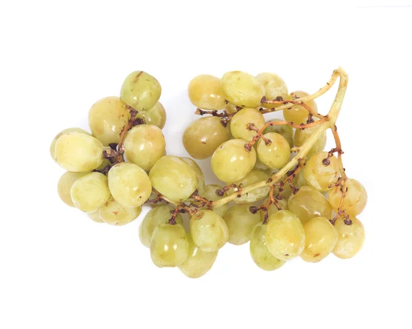 Dojrzałych ekologicznych zielonych winogron — Zdjęcie stockowe
