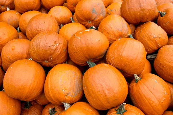 Oranje Halloween pompoenen — Stockfoto
