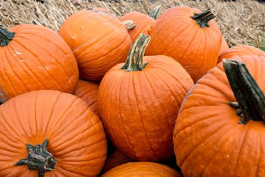 Turuncu Halloween kabaklar