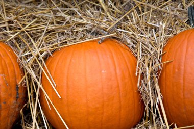 Turuncu Halloween kabaklar