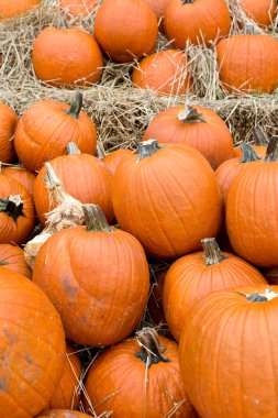 Turuncu Halloween kabaklar
