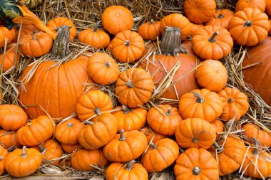 Turuncu Halloween kabaklar