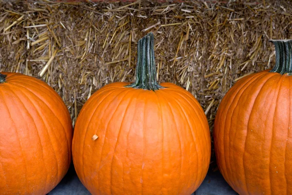 Oranje Halloween pompoenen — Stockfoto