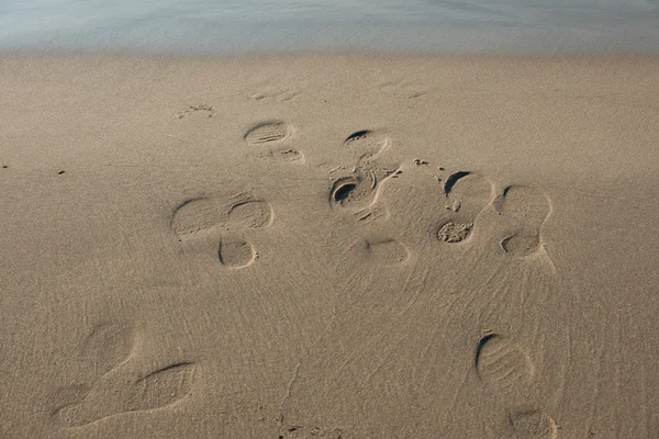 Footprints on beach — Stock Photo, Image