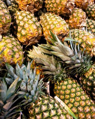 Olgun organik ananas