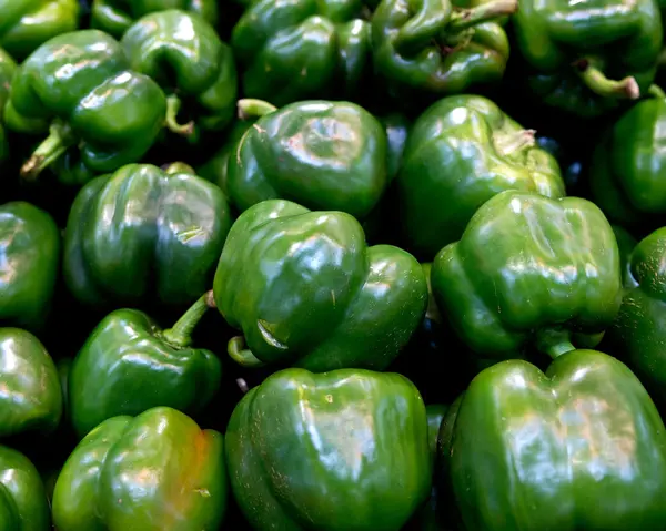 Pimienta orgánica madura verde — Foto de Stock