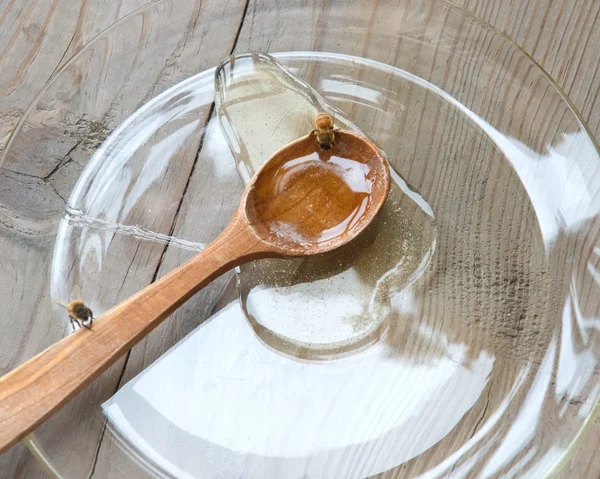 Hungrige Bienen füttern — Stockfoto