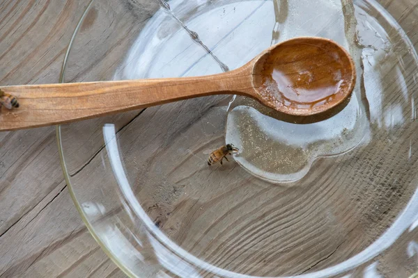 Hungrige Bienen füttern — Stockfoto