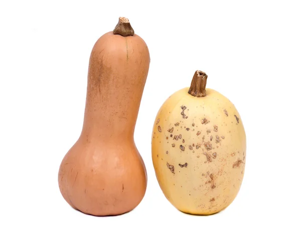 Espaguetis de granja Amish y calabaza de mantequilla — Foto de Stock