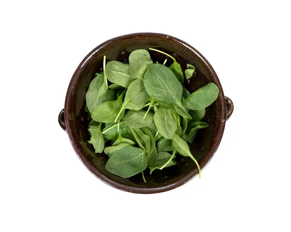 Spinach organic baby leaves — Stock Photo, Image