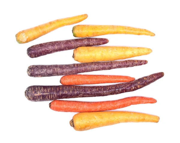 Barevné organické mrkev — Stock fotografie