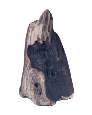 Kömürleşmiş odun parçası