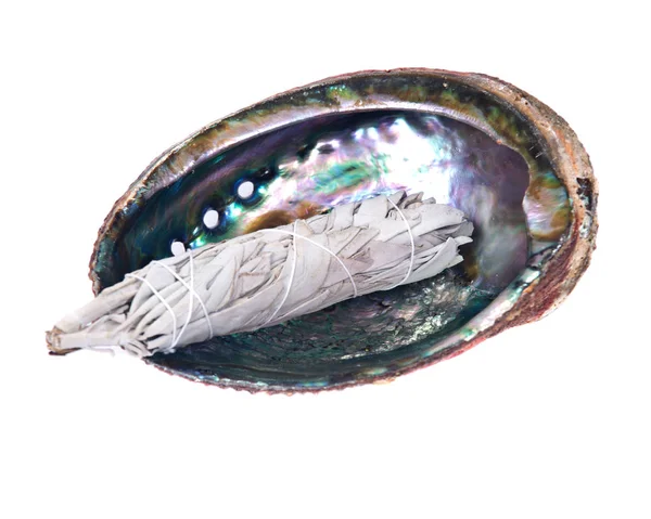 Sage smudge stick in bright polished rainbow abalone shell — Stock Photo, Image