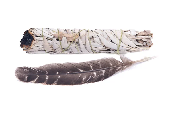 Sage rozmazání stick s třídy zamřížované Turecko smudging peří — Stock fotografie