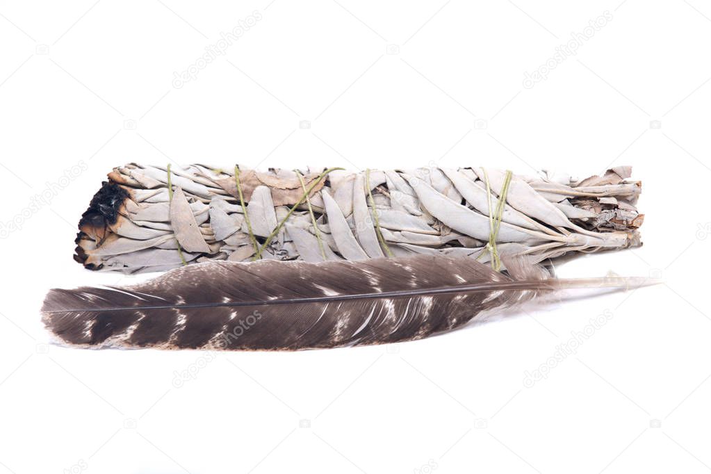 Sage smudge stick with grade A barred turkey smudging feather