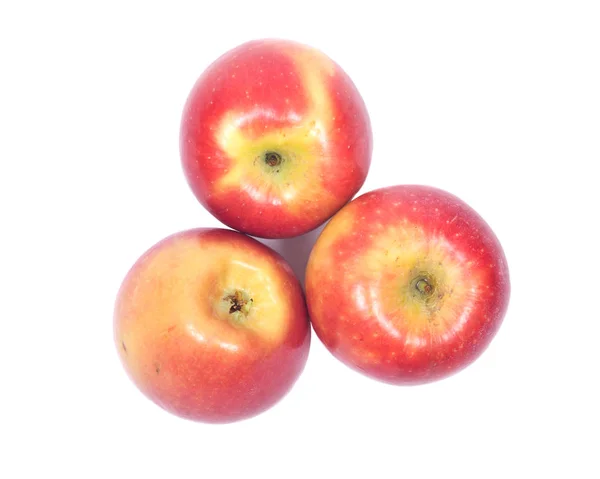 Manzana kanzi orgánica madura — Foto de Stock