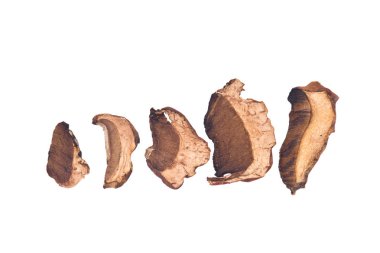 Kurutulmuş organik porcini mantar