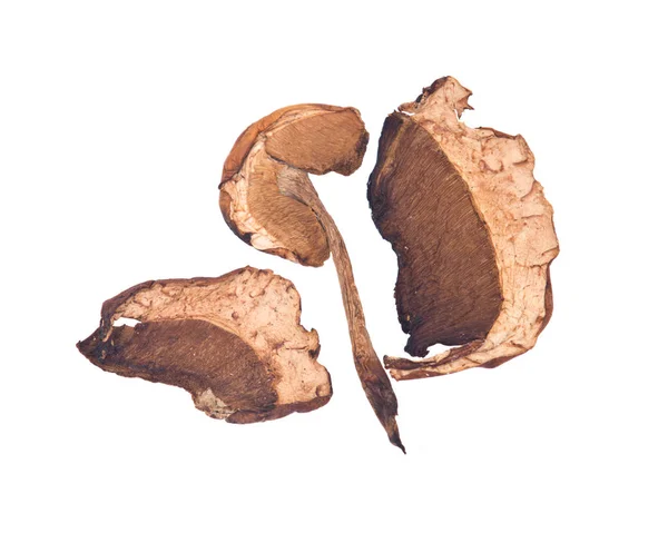 有機ポルチーニ茸を乾燥 — ストック写真