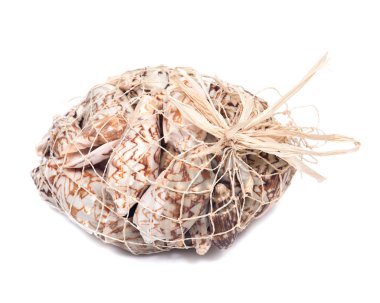 Yarasa kıvrım deniz kabuğu dekoratif çanta